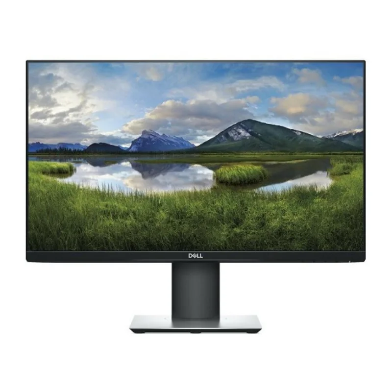 Dell P2419H