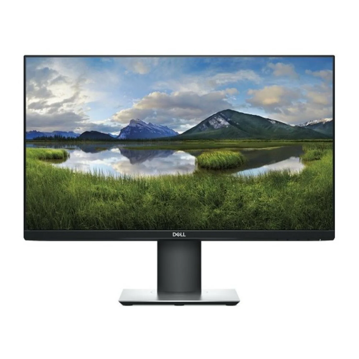 Dell P2419H
